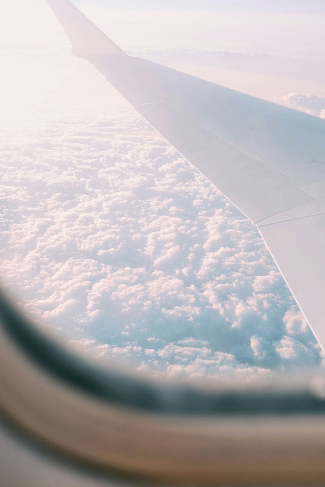 Pannix Travel 1