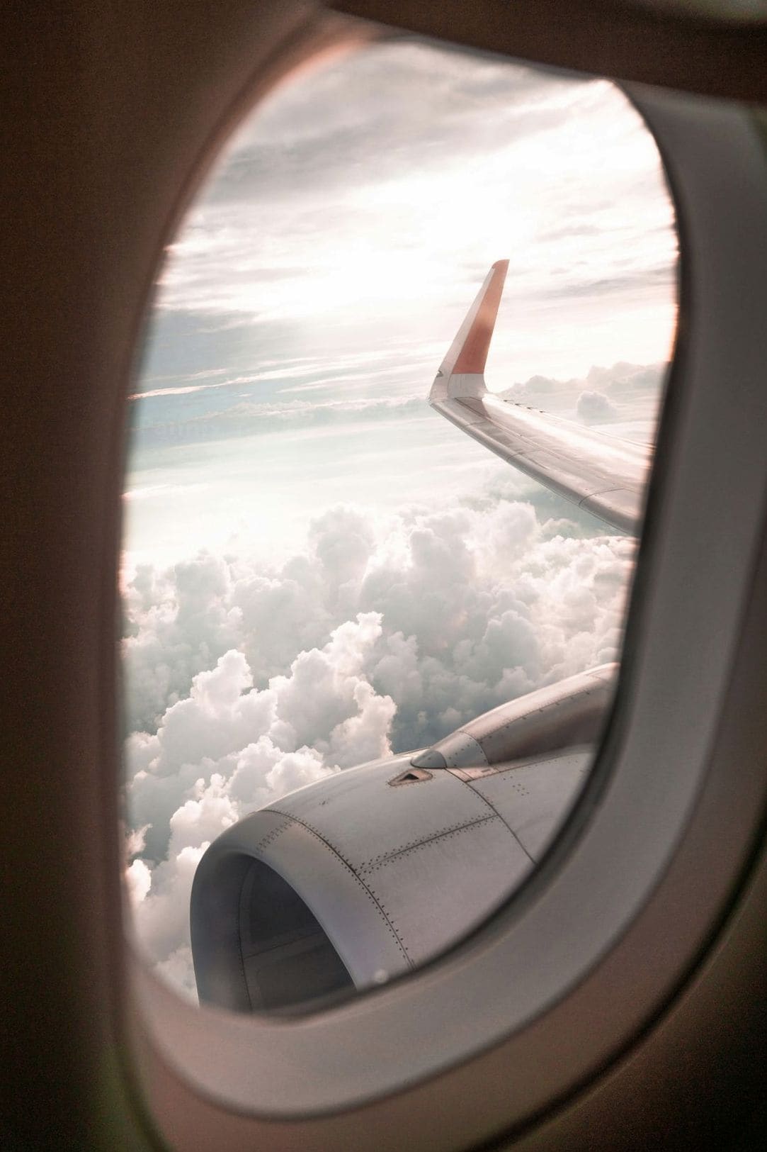Pannix Travel 14