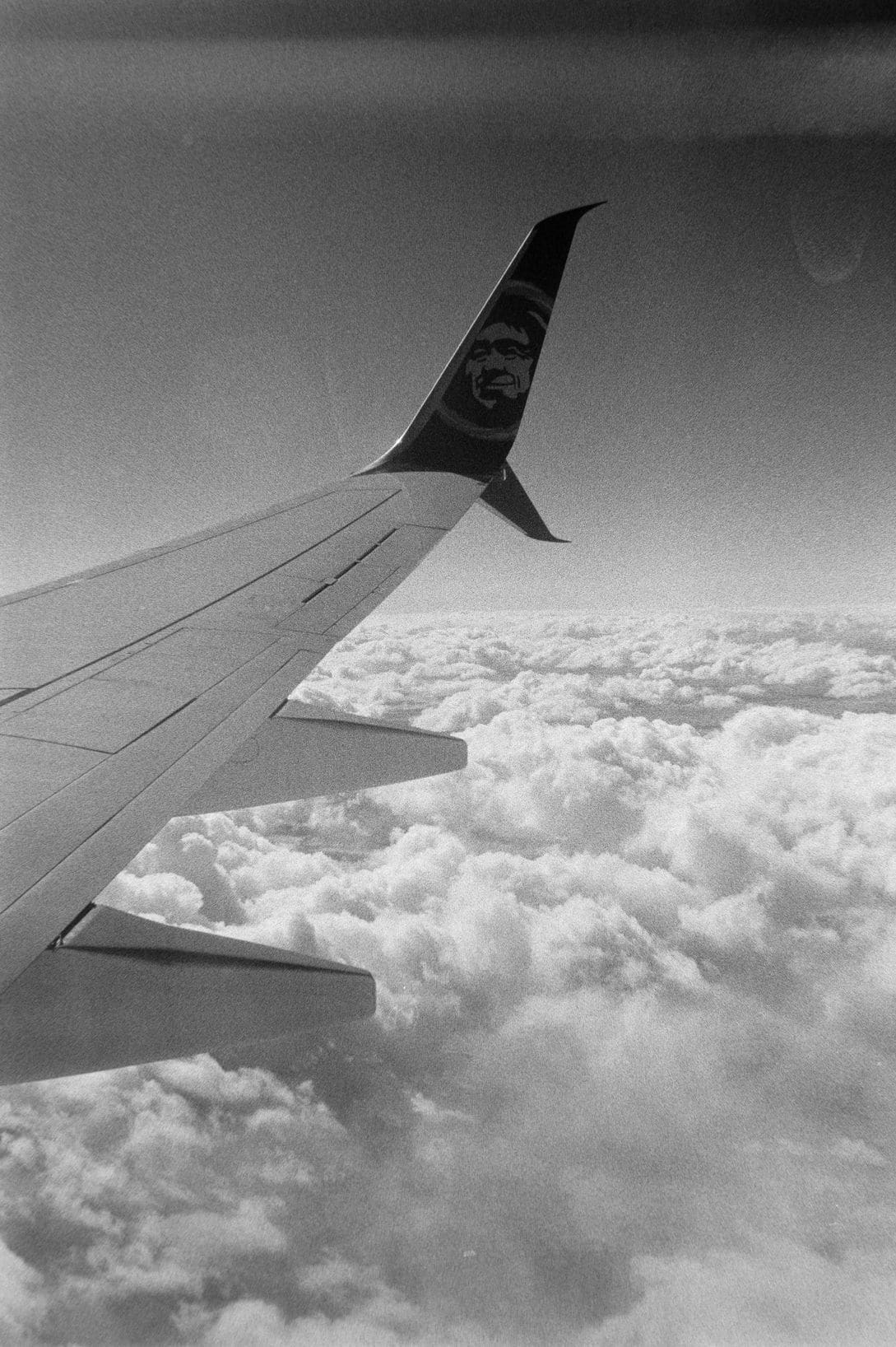 Pannix Travel 5