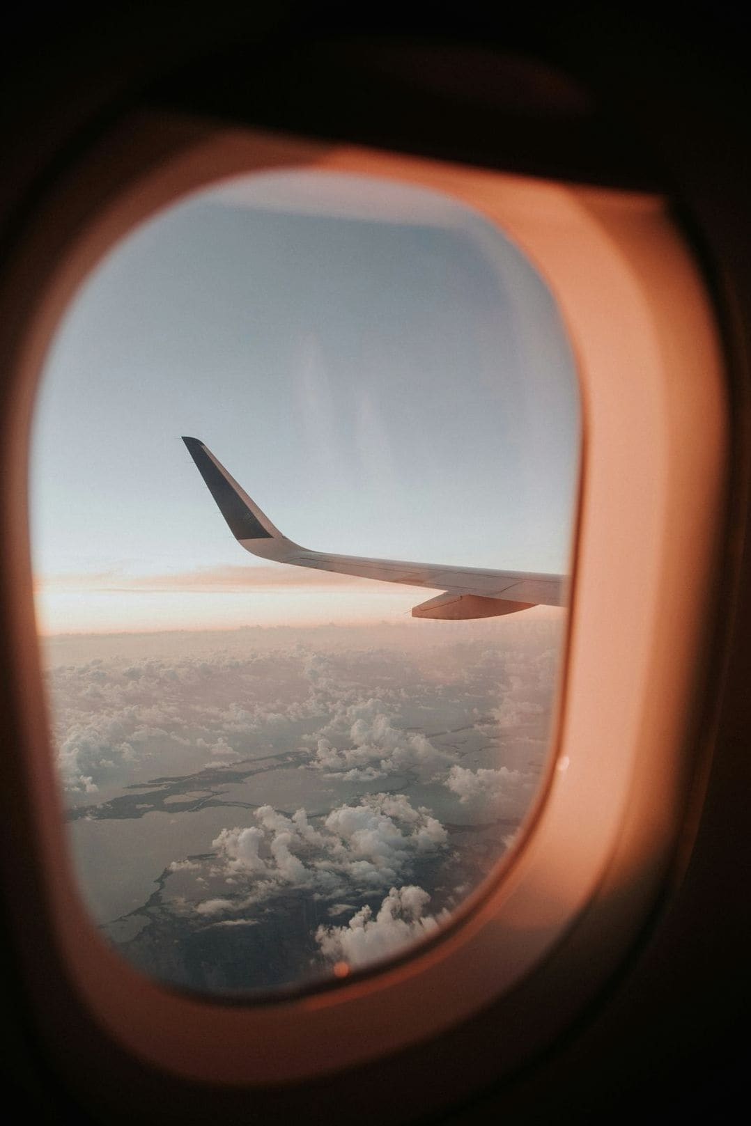 Pannix Travel 7
